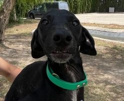 Oskar