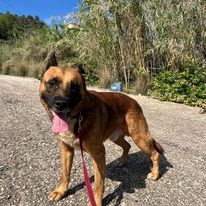 Anzeige Winnie lesen