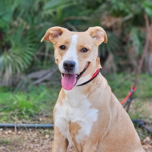 Anzeige Emilia lesen