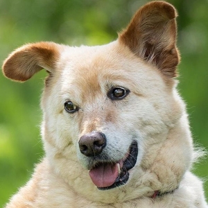 Sam