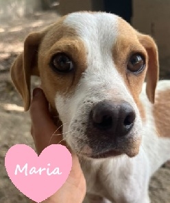 Maria