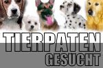 Tierpaten gesucht